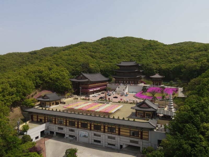 DJI_0113.JPG 이미지